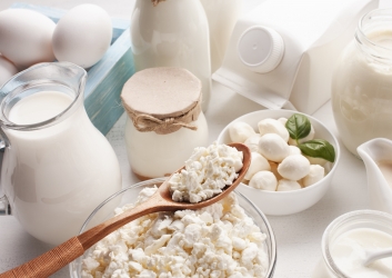 Enzyme-modified dairy products